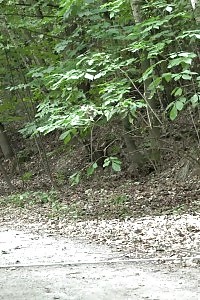 Bare-assed Is On Show As A Brunette Pretty Pissing