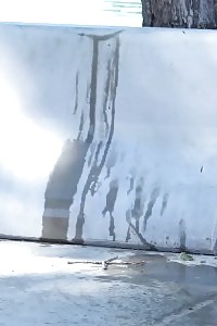 Outdoor Pissing For Fantastic Brunette Bitch