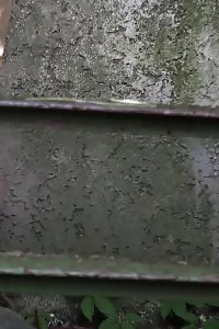 Fantastic Chick Is Desperate To Piss Outside