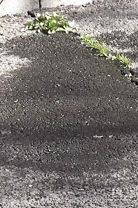 Breathtaking Black-haired Pisses Outside A Public Building